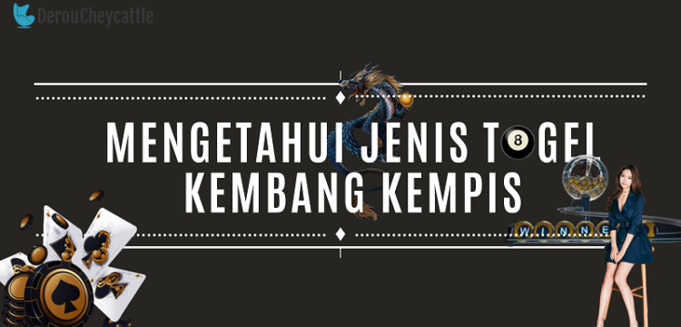 Banner Mengetahui Jenis Togel Kembang Kempis